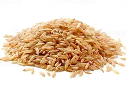 Abakaliki rice field at Johnrosy Memorial Farm, Ebonyi State